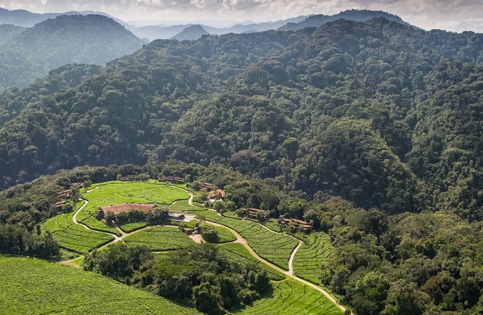 Rwanda Hills