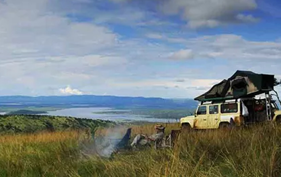 How to Plan a Perfect Safari to Rwanda